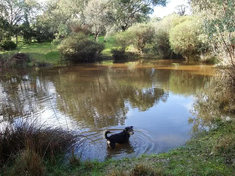 Seventh view of Homely rural property listing, 855 Ashbourne Rd, Strathalbyn SA 5255