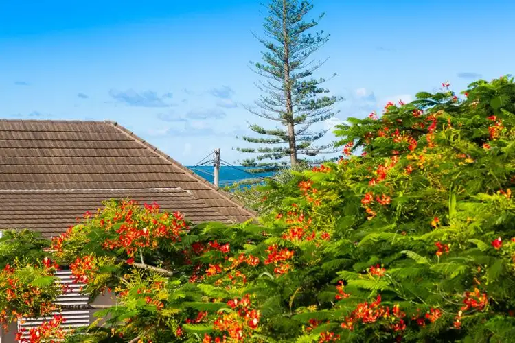 Fifth view of Homely unit listing, 4/16 Murphy Street, Scarborough QLD 4020