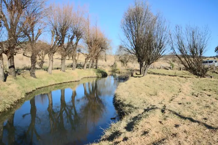 Main view of Homely house listing, 243 Bellevue Road, Tenterfield NSW 2372