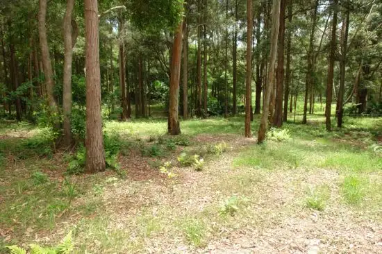 Second view of Homely rural property listing, Address available on request