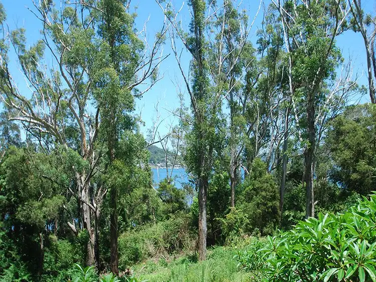 Third view of Homely house listing, 12 Pixie Ave, Green Point NSW 2251