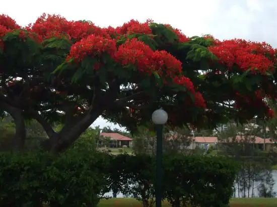 Second view of Homely unit listing, U27 / 22 Barbet Place, Burleigh Waters QLD 4220