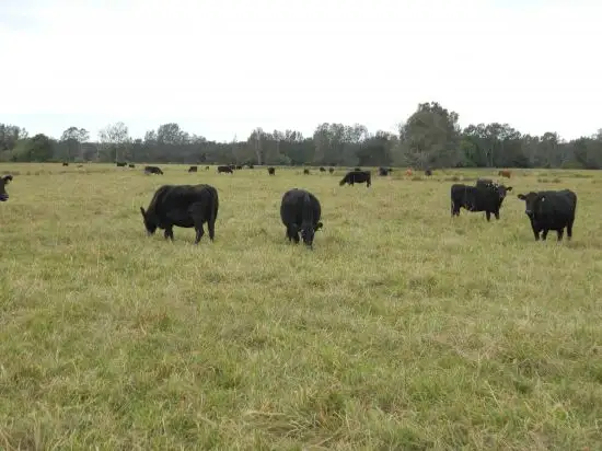 Second view of Homely rural property listing, Address available on request