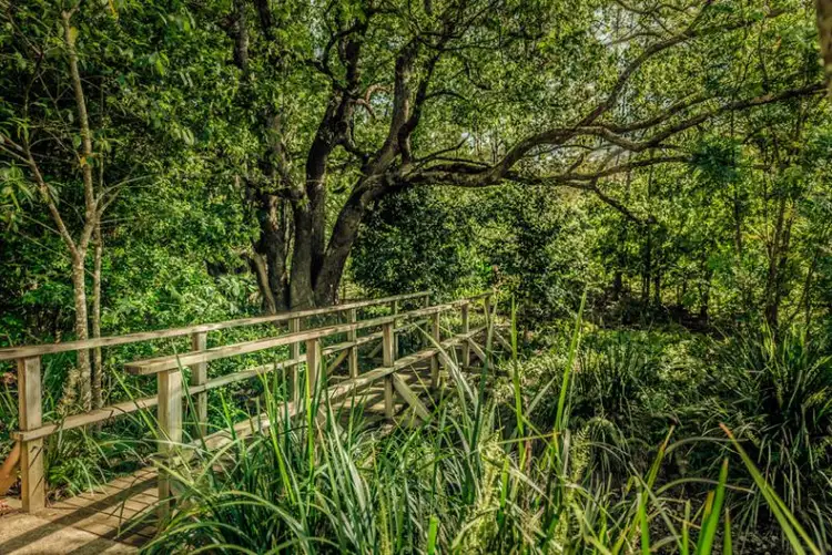 Seventh view of Homely rural property listing, 52 Buffer Creek Road, Bellingen NSW 2454