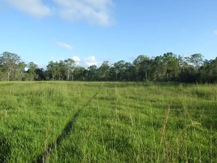 Fifth view of Homely rural property listing, 245 Wildman Road, Iveragh QLD 4680