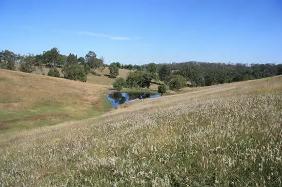 Sixth view of Homely rural property listing, 6 MacPherson Road, Veteran QLD 4570