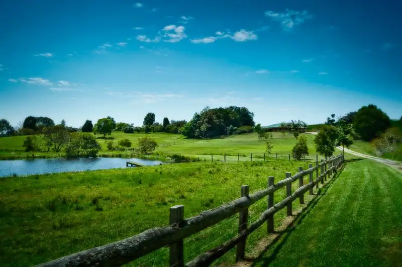 Main view of Homely rural property listing, 254 Waterfall Way, Raleigh NSW 2454