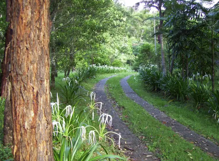 Seventh view of Homely rural property listing, Address available on request