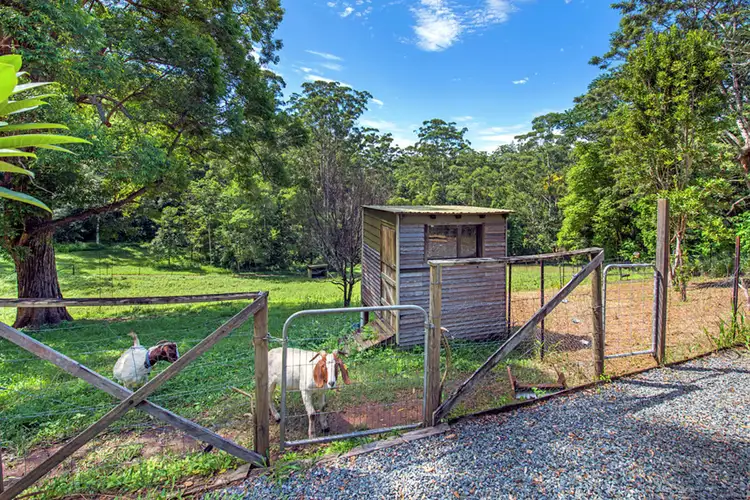 Sixth view of Homely house listing, 94 Scotchman Road, Bellingen NSW 2454