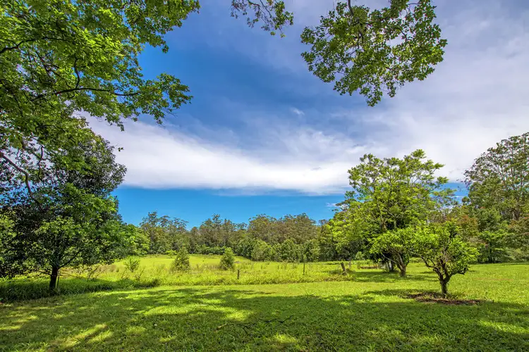 Sixth view of Homely house listing, 138 Promised Land Loop Road, Bellingen NSW 2454