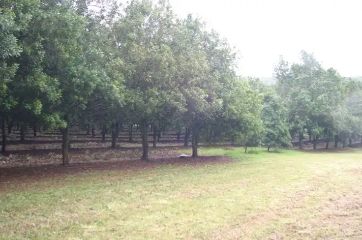 Third view of Homely rural property listing, 23 Boundary Road, Lindendale NSW 2480