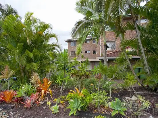 Third view of Homely unit listing, 6/19 Wyandra St, Noosa Heads QLD 4567