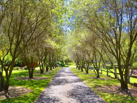 Fourth view of Homely rural property listing, 39 Longview Close, Wamberal NSW 2260