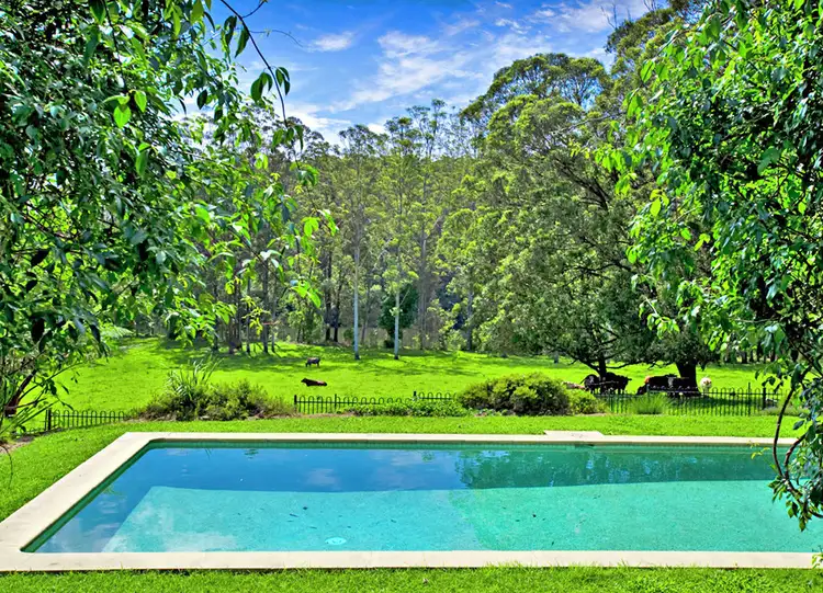 Seventh view of Homely rural property listing, 869 South Arm Road, Bellingen NSW 2454