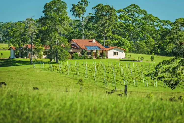 Main view of Homely house listing, 373 Mardells Road, Bucca NSW 2450