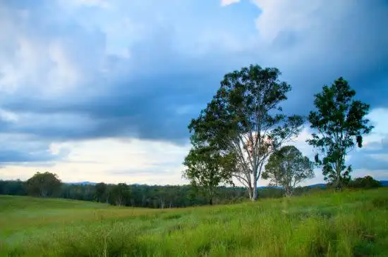 Second view of Homely rural property listing, 167 Fosters Lane, Anderleigh QLD 4570
