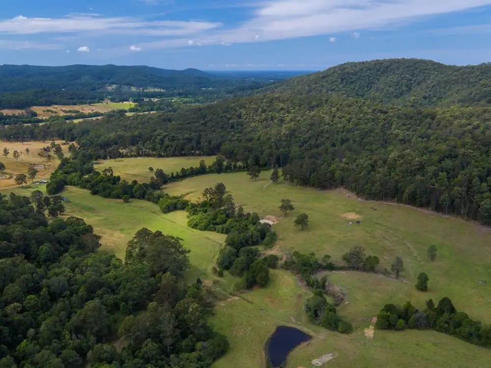 Main view of Homely rural property listing, 953 Rollands Plains Road, Rollands Plains NSW 2441
