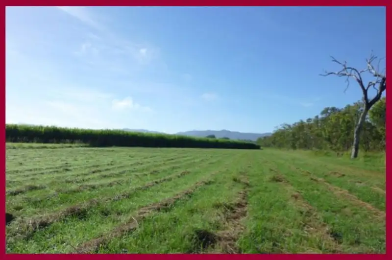 Main view of Homely rural property listing, Address available on request