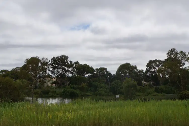 Second view of Homely house listing, 31 Jacaranda Street, Murray Bridge SA 5253