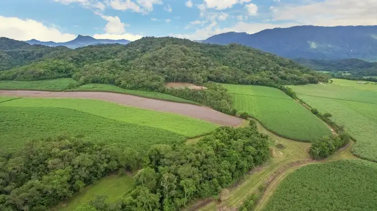 Sixth view of Homely land listing, LOT 2 Schilds Road, Miallo QLD 4873