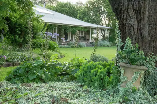 Main view of Homely rural property listing, 2010 Willow Tree Road, Merriwa NSW 2329
