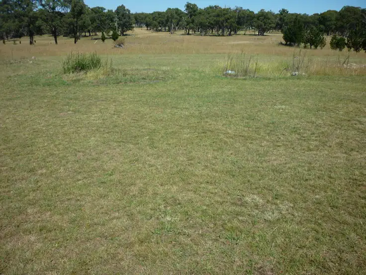 Sixth view of Homely rural property listing, Address available on request