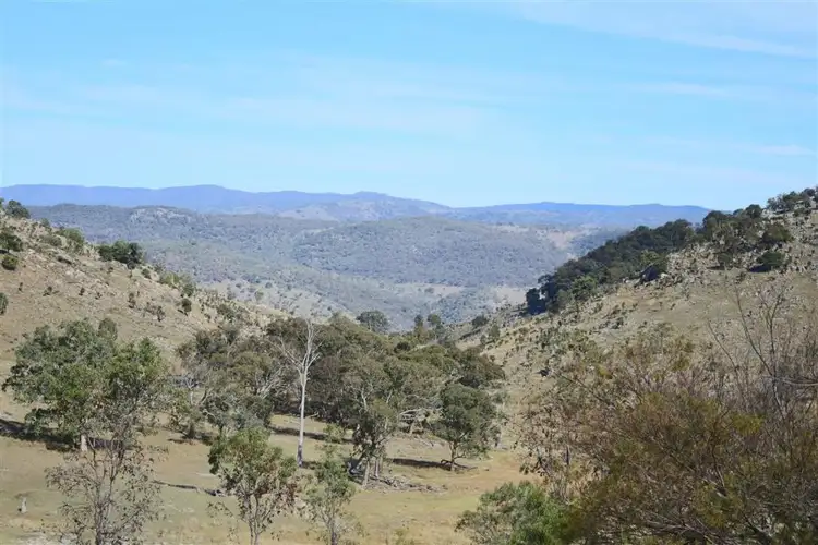 Fifth view of Homely rural property listing, 1759 Mount Mackenzie Road, Tenterfield NSW 2372