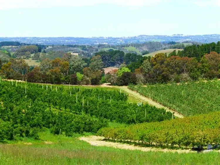 Sixth view of Homely rural property listing, L2/100 Plummers Road, Lenswood SA 5240