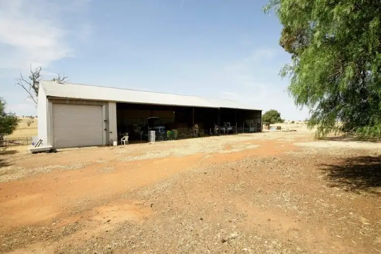 Fifth view of Homely rural property listing, 738 Pikedale Road, Old Junee NSW 2652