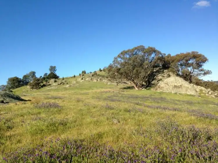 Seventh view of Homely land listing, 6056 Holbrook Road, Gelston Park, Wagga Wagga NSW 2650