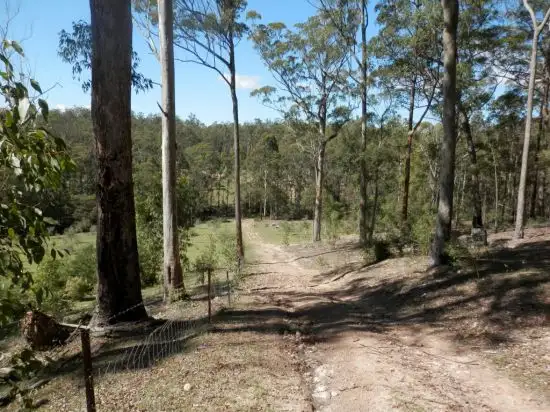 Fourth view of Homely rural property listing, Lot 2 Red Rock Rd, Drake NSW 2469