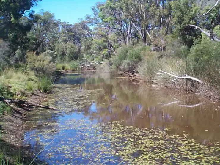 Main view of Homely land listing, 222 Diamondvale Road, Stanthorpe QLD 4380