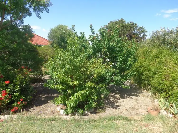 Fourth view of Homely unit listing, 7/21 Parker Avenue, Strathalbyn SA 5255