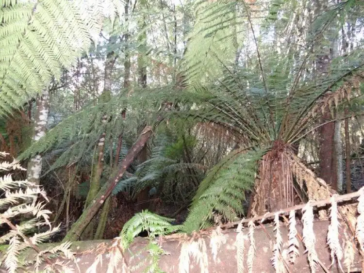 Sixth view of Homely land listing, 4895 Arthur Highway, Eaglehawk Neck TAS 7179