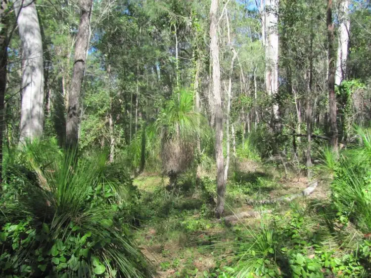 Main view of Homely rural property listing, Lot 77 Pacific Drive, Deepwater QLD 4674