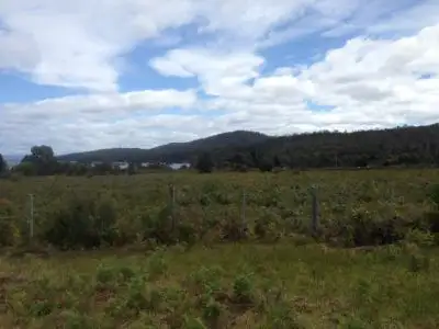 Fourth view of Homely land listing, 9 Berrys Court, Nubeena TAS 7184