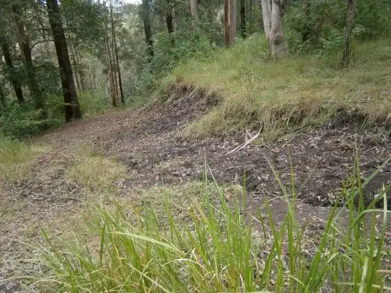 Seventh view of Homely rural property listing, Lot 1 Mills Rd, Old Bonalbo NSW 2469