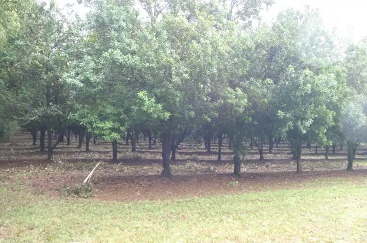 Main view of Homely rural property listing, 23 Boundary Road, Lindendale NSW 2480