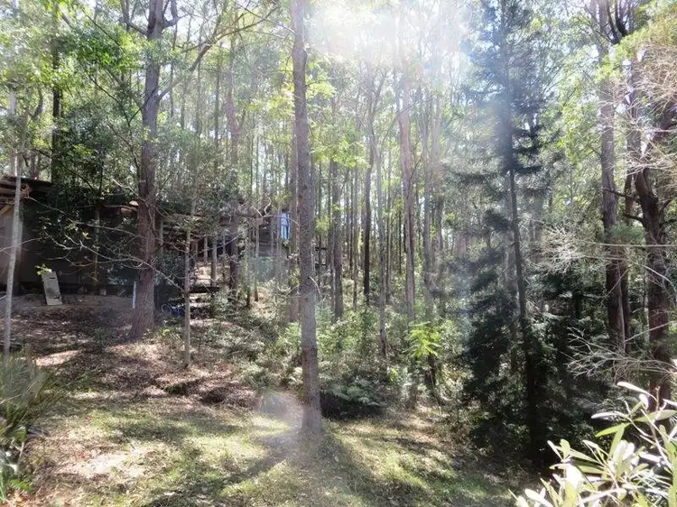 Main view of Homely house listing, 530 Newee Creek Road, Newee Creek NSW 2447