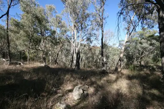 Fourth view of Homely rural property listing, 471 "Treetop" New England Gully Road Moonbi, Tamworth NSW 2340