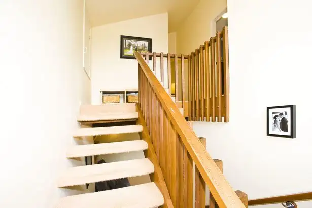 Sixth view of Homely house listing, 17 Faul Street, Adamstown Heights NSW 2289
