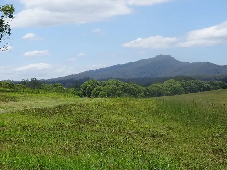 Third view of Homely rural property listing, 200 North Arm Road, Bowraville NSW 2449