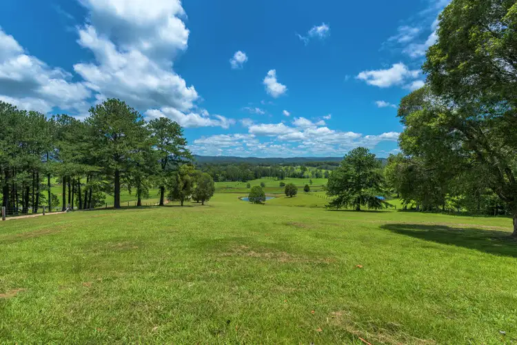 Fourth view of Homely rural property listing, 1010 East Bank Road, Nana Glen NSW 2450