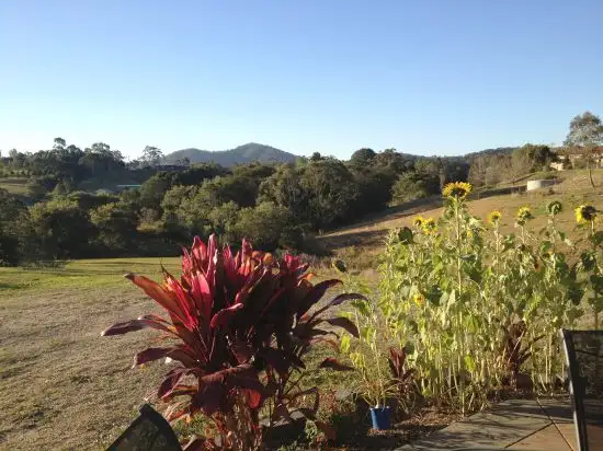 Second view of Homely rural property listing, 3 Pade Crescent, Newee Creek NSW 2447