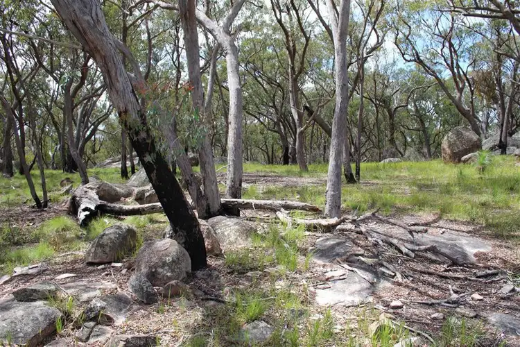 Sixth view of Homely rural property listing, 1167 Mount Mackenzie Road, Tenterfield NSW 2372