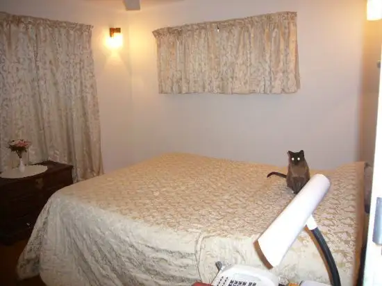 Fifth view of Homely house listing, 45 Kimmax St, Sunnybank QLD 4109