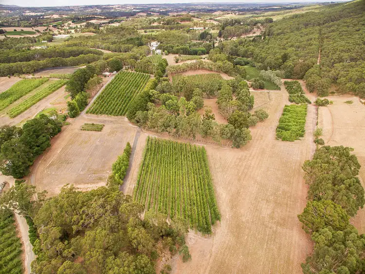 Seventh view of Homely rural property listing, Lot 68 Swamp Road, Lenswood SA 5240