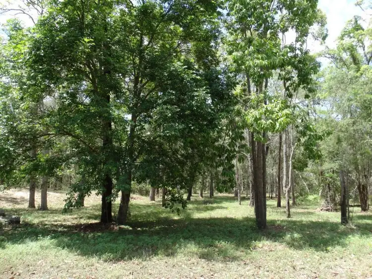 Seventh view of Homely rural property listing, 310 Muller Road, Baffle Creek QLD 4674