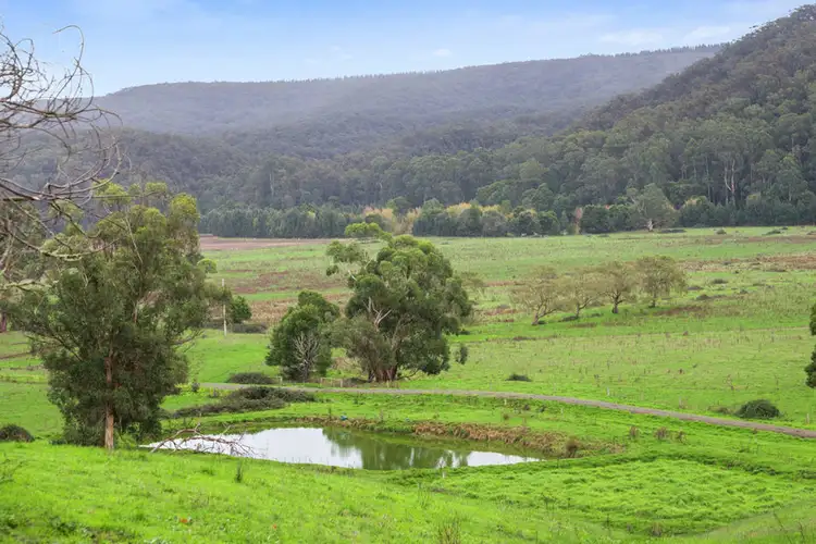 Main view of Homely rural property listing, 2060 Carlisle Road, Carlisle River VIC 3239