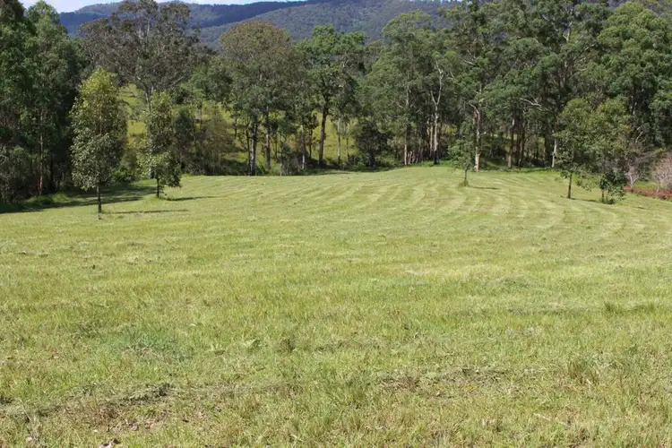 Fifth view of Homely rural property listing, 428 Kindee Road, Kindee NSW 2446